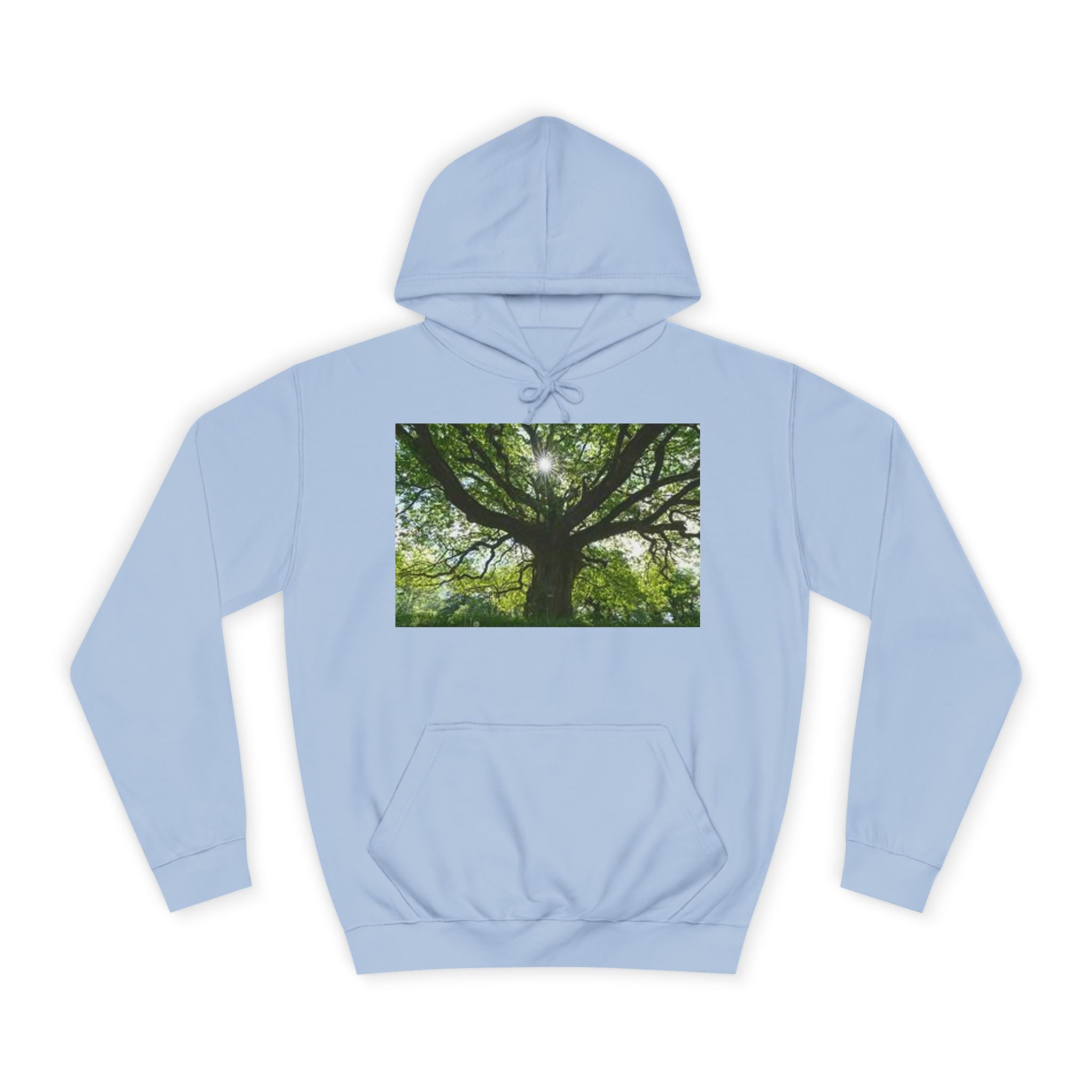 Sunlit Oak Tree Hoodie | Forest Nature Photography, Green Tree Sweatshirt