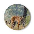 Bengal Tiger Illustration Ceramic Coaster | Wildlife Animal Drink Mat