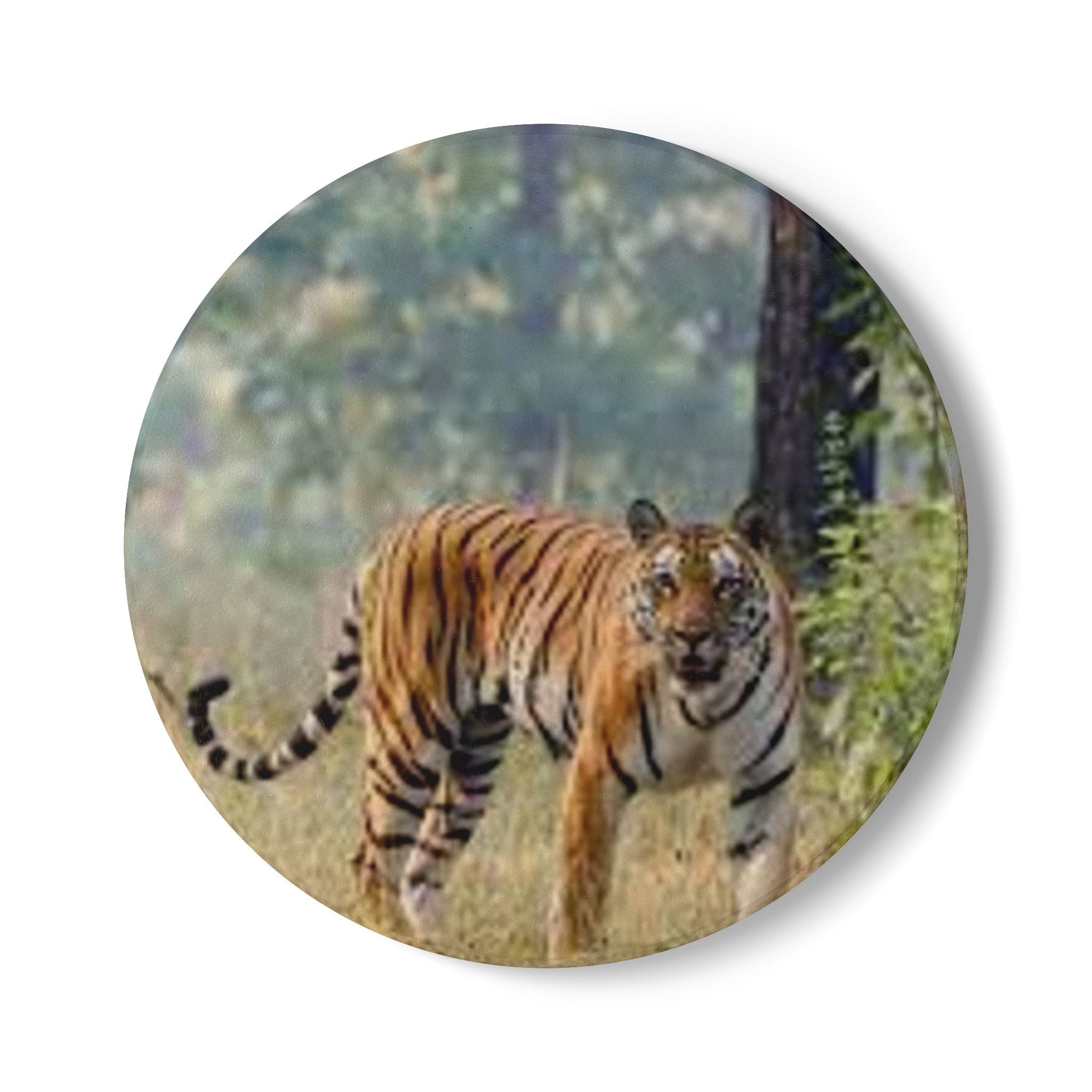 Bengal Tiger Illustration Ceramic Coaster | Wildlife Animal Drink Mat