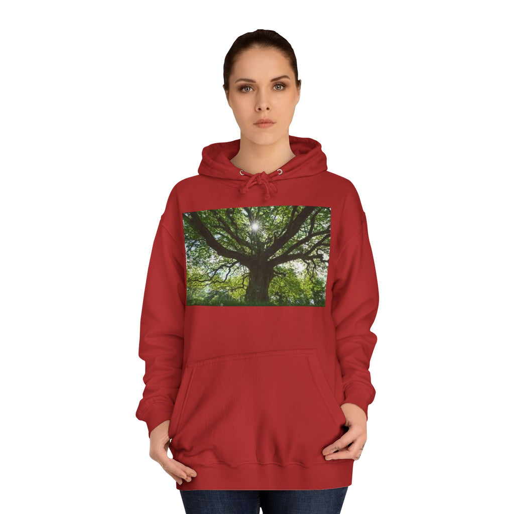 Sunlit Oak Tree Hoodie | Forest Nature Photography, Green Tree Sweatshirt