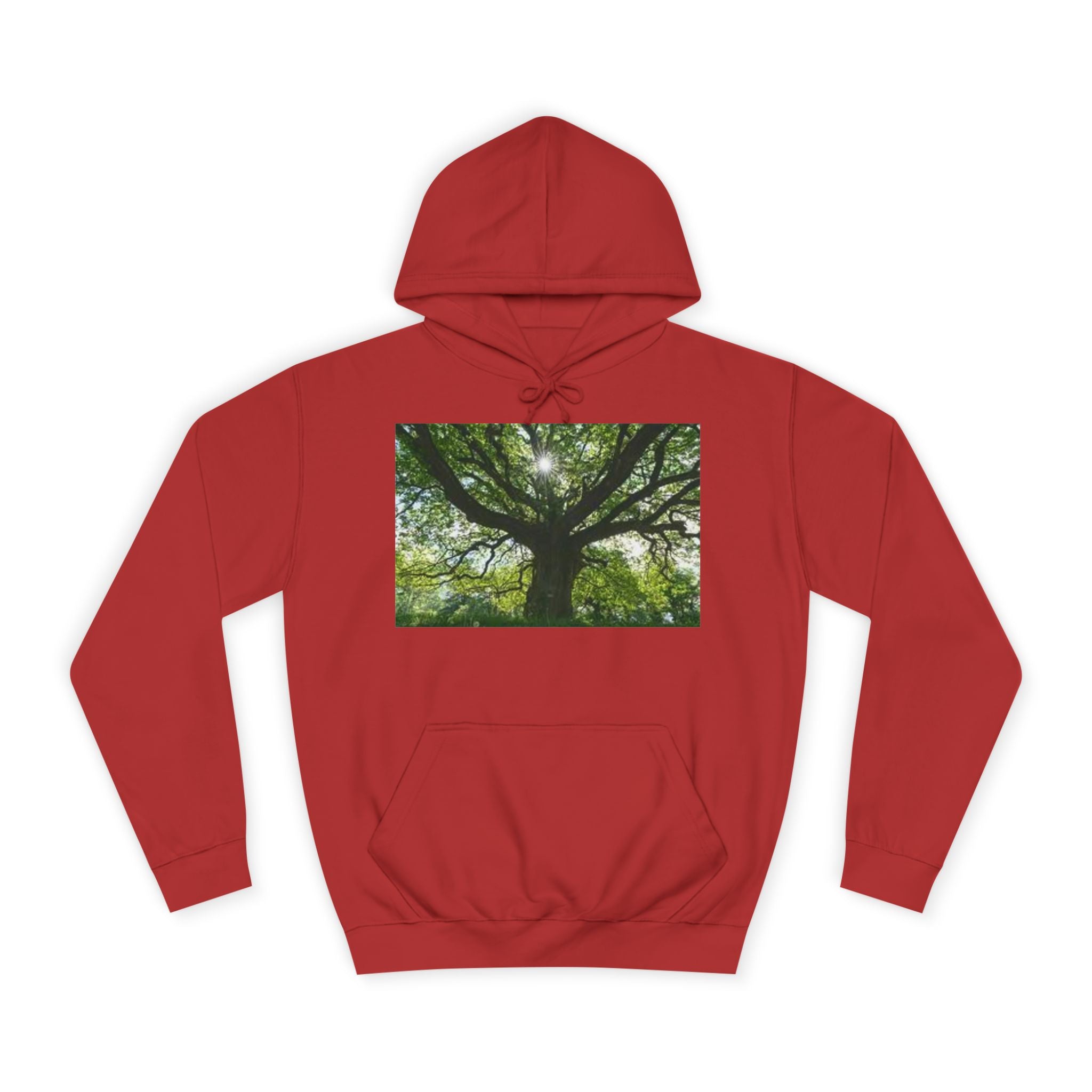 Sunlit Oak Tree Hoodie | Forest Nature Photography, Green Tree Sweatshirt