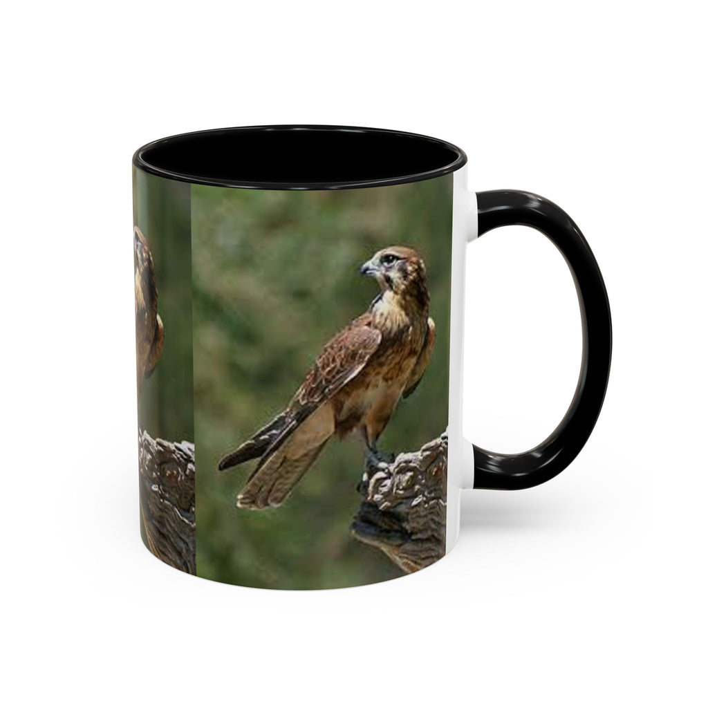 Kestrel Falcon Photo Mug | Accent Coffee Mug 11oz 15oz