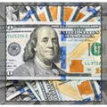 Hundred Dollar Bill Woven-Style Coverlet | Money Print Coverlet