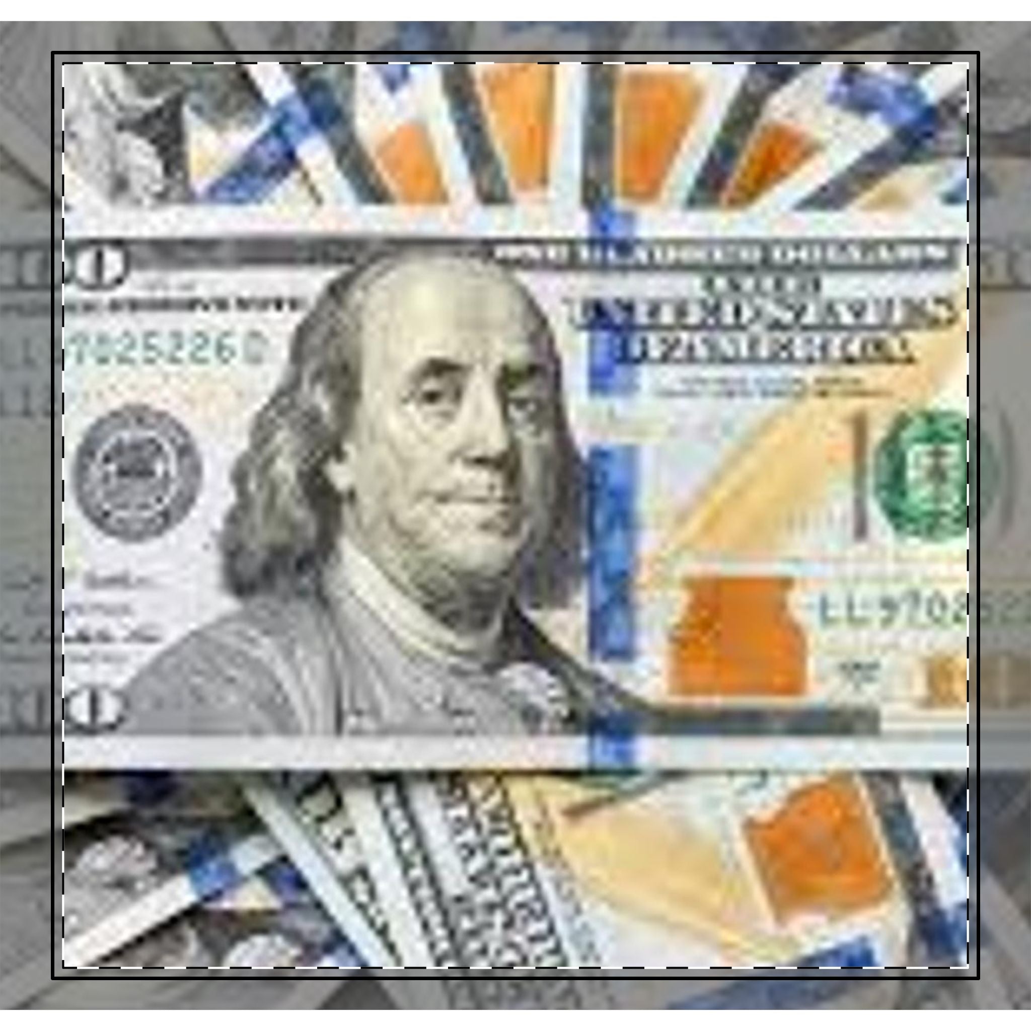 Hundred Dollar Bill Woven-Style Coverlet | Money Print Coverlet