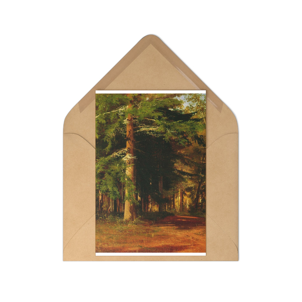 Forest Path Postcards | Vintage Landscape Art, Set of 7