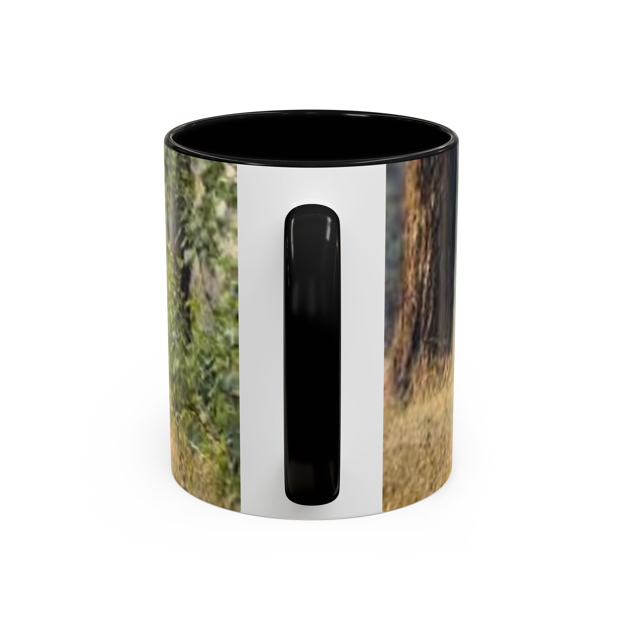 Bengal Tiger Photo Mug | Accent Coffee Mug