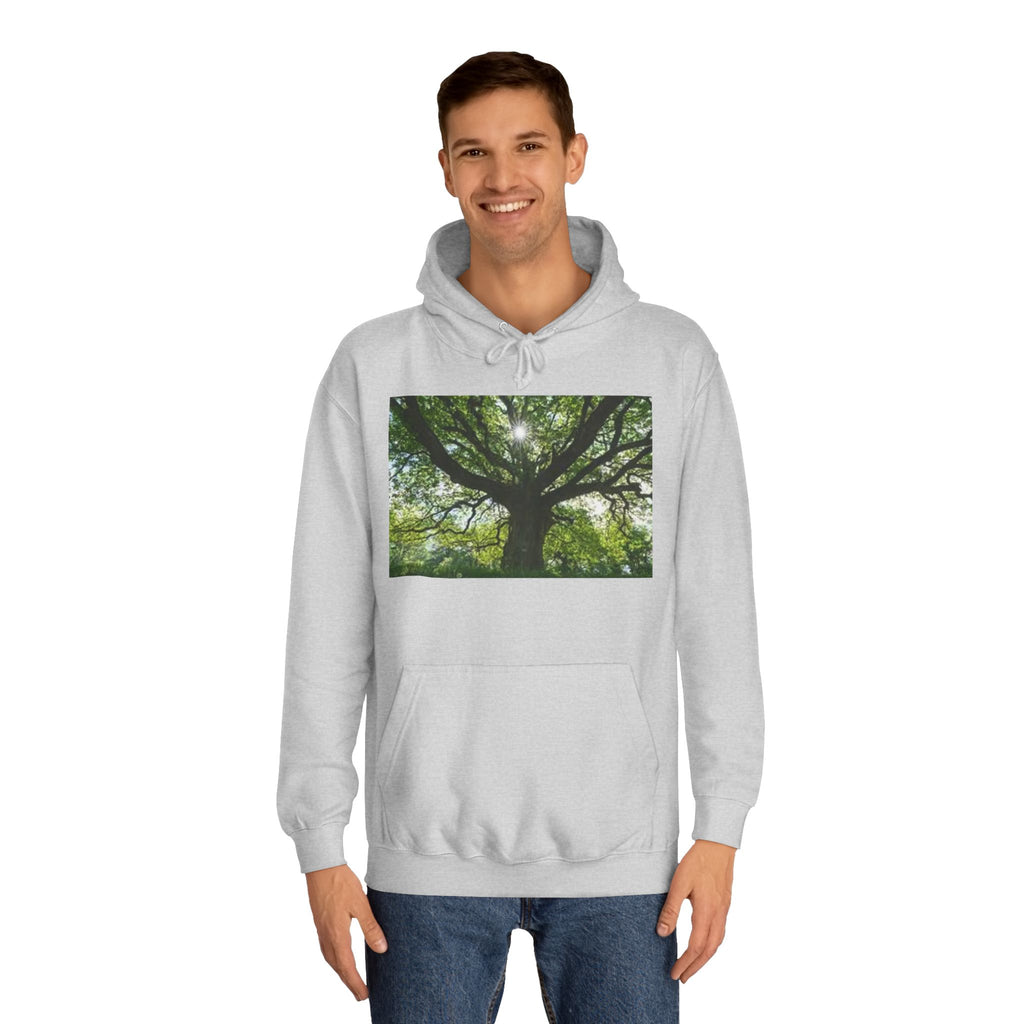 Sunlit Oak Tree Hoodie | Forest Nature Photography, Green Tree Sweatshirt