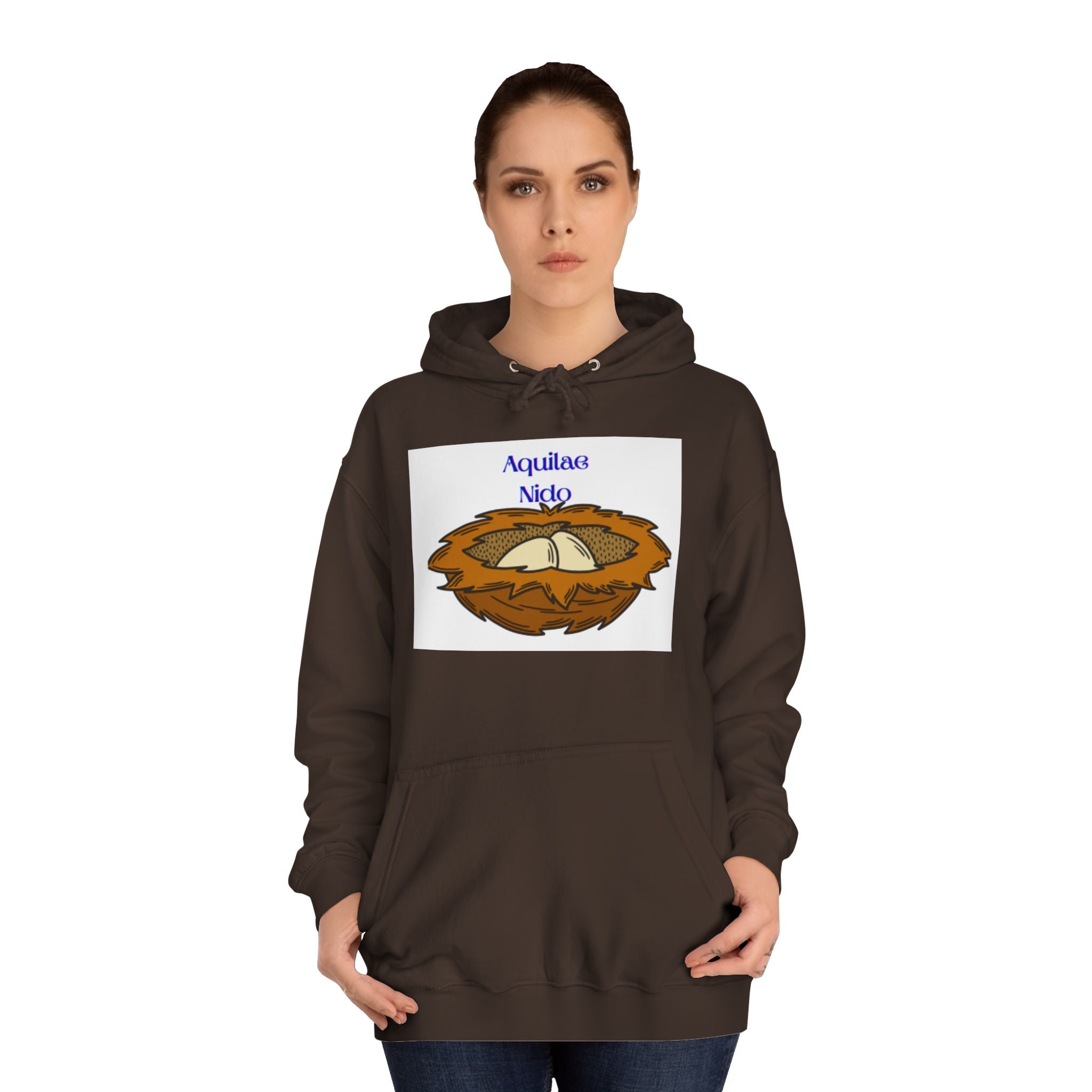 Aquilae Nido Nest Illustration Hoodie | College Crest Style