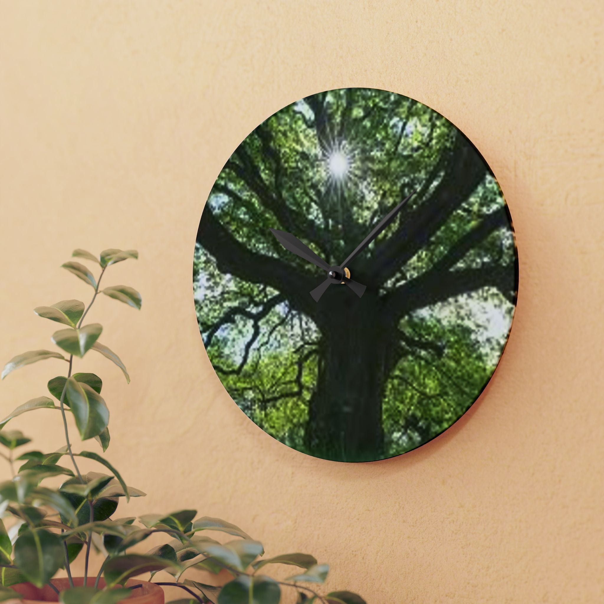Sunlit Oak Tree Acrylic Wall Clock | Nature Forest Decor