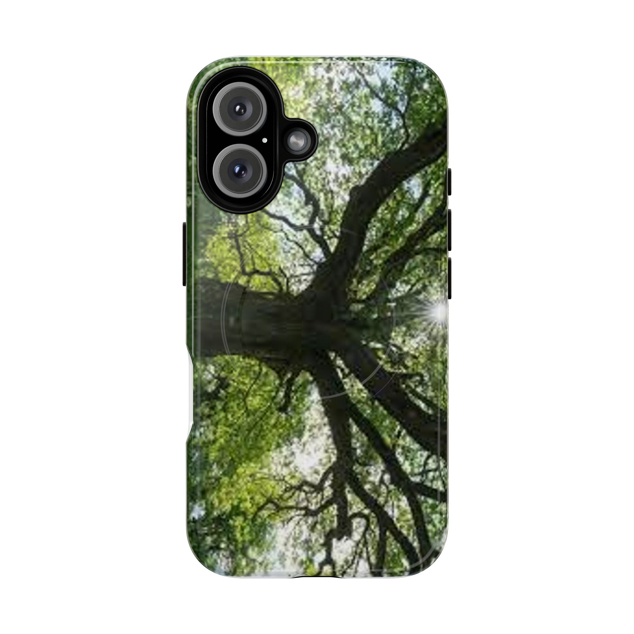 Sunlit Oak Tree Phone Case | Tough Magnetic Case