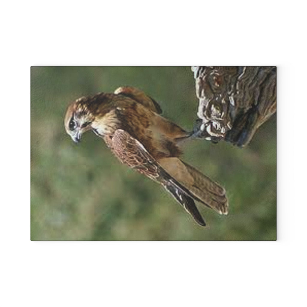 Kestrel Bird Glass Cutting Board | Wildlife Falconry Kitchen Decor
