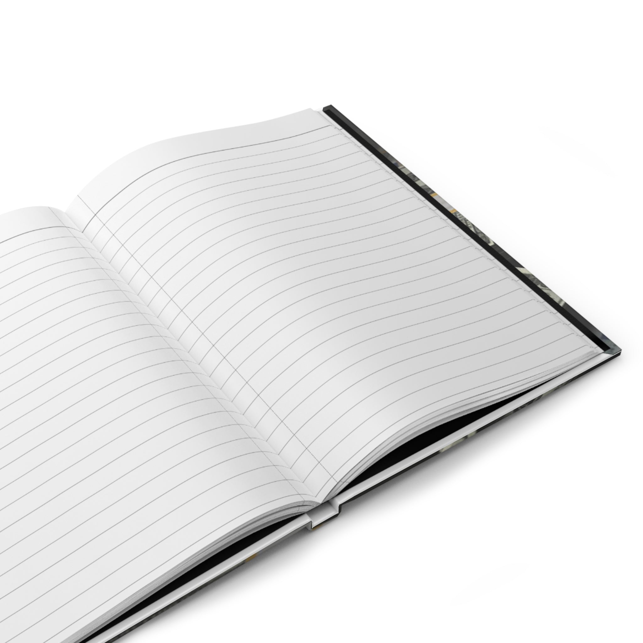 Billionaire Hardcover Journal Matte