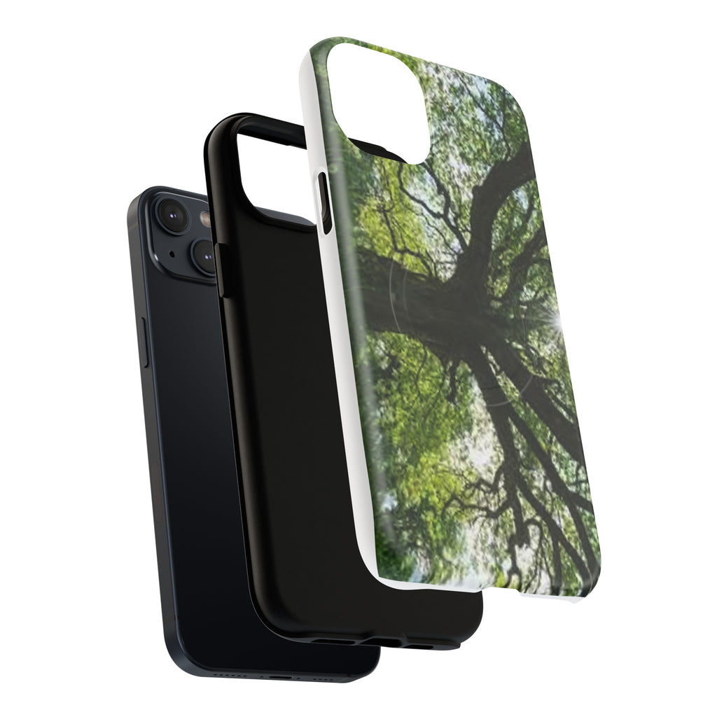 Sunlit Oak Tree Phone Case | Tough Magnetic Case