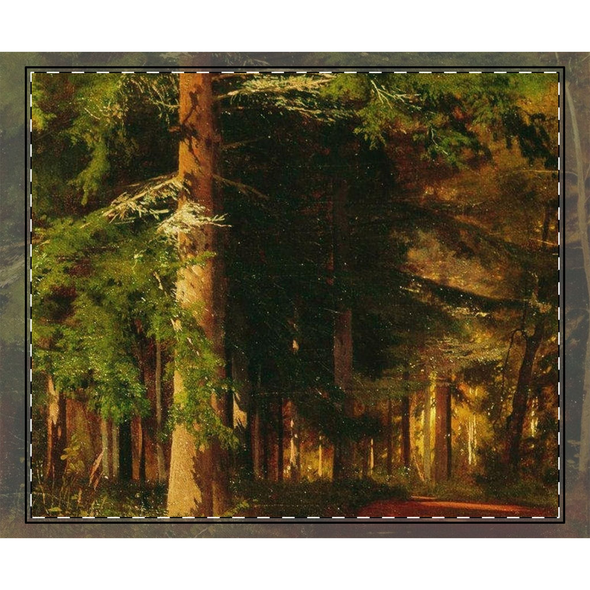 Couvre-lit tissé Chemin Forestier | Jeté Paysage d'Arbres de la Forêt