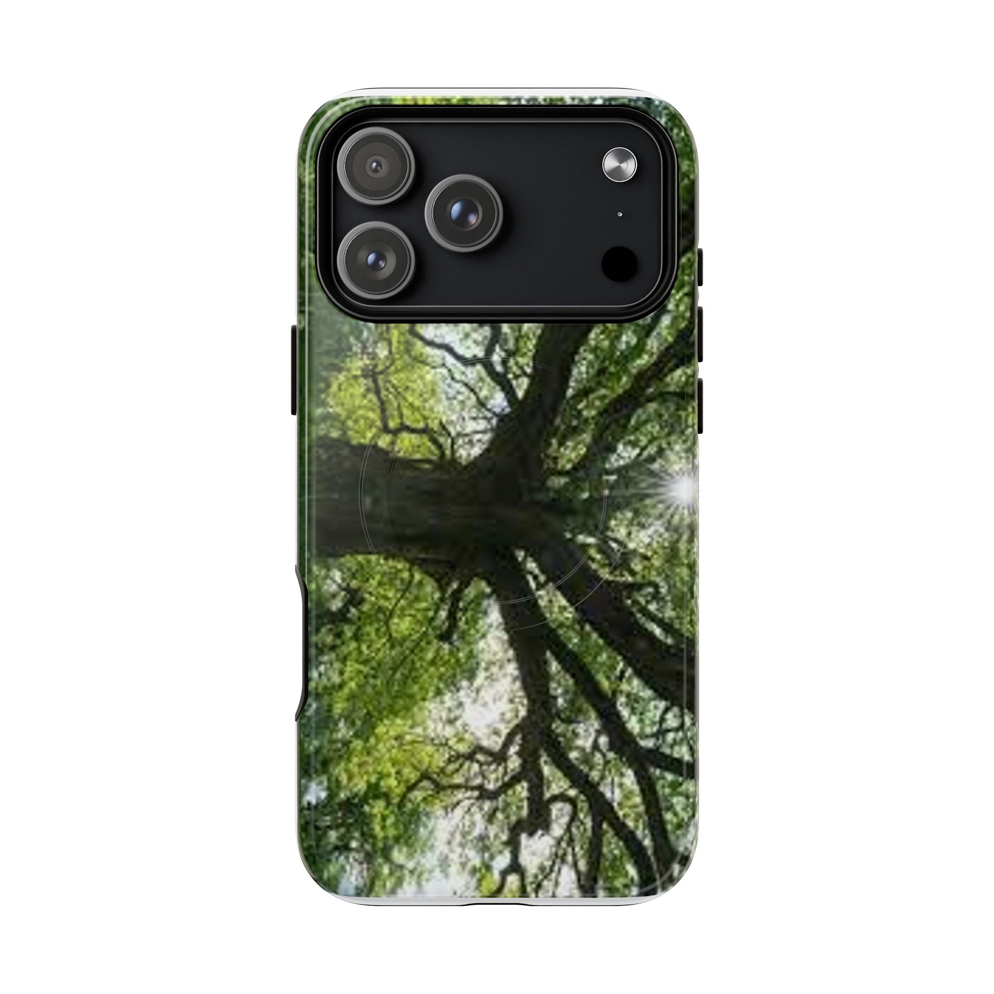 Sunlit Oak Tree Phone Case | Tough Magnetic Case