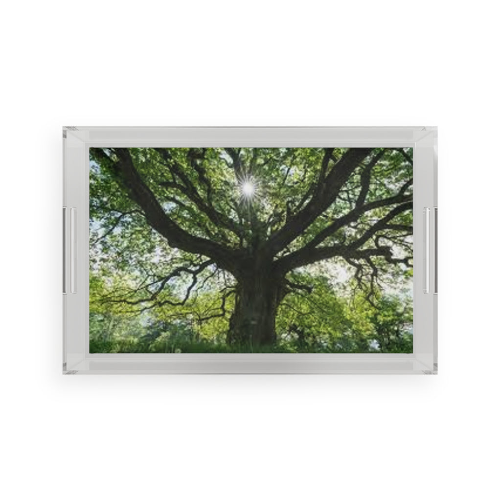 Sunlight Through Oak Tree Acrylic Serving Tray | Nature Landscape