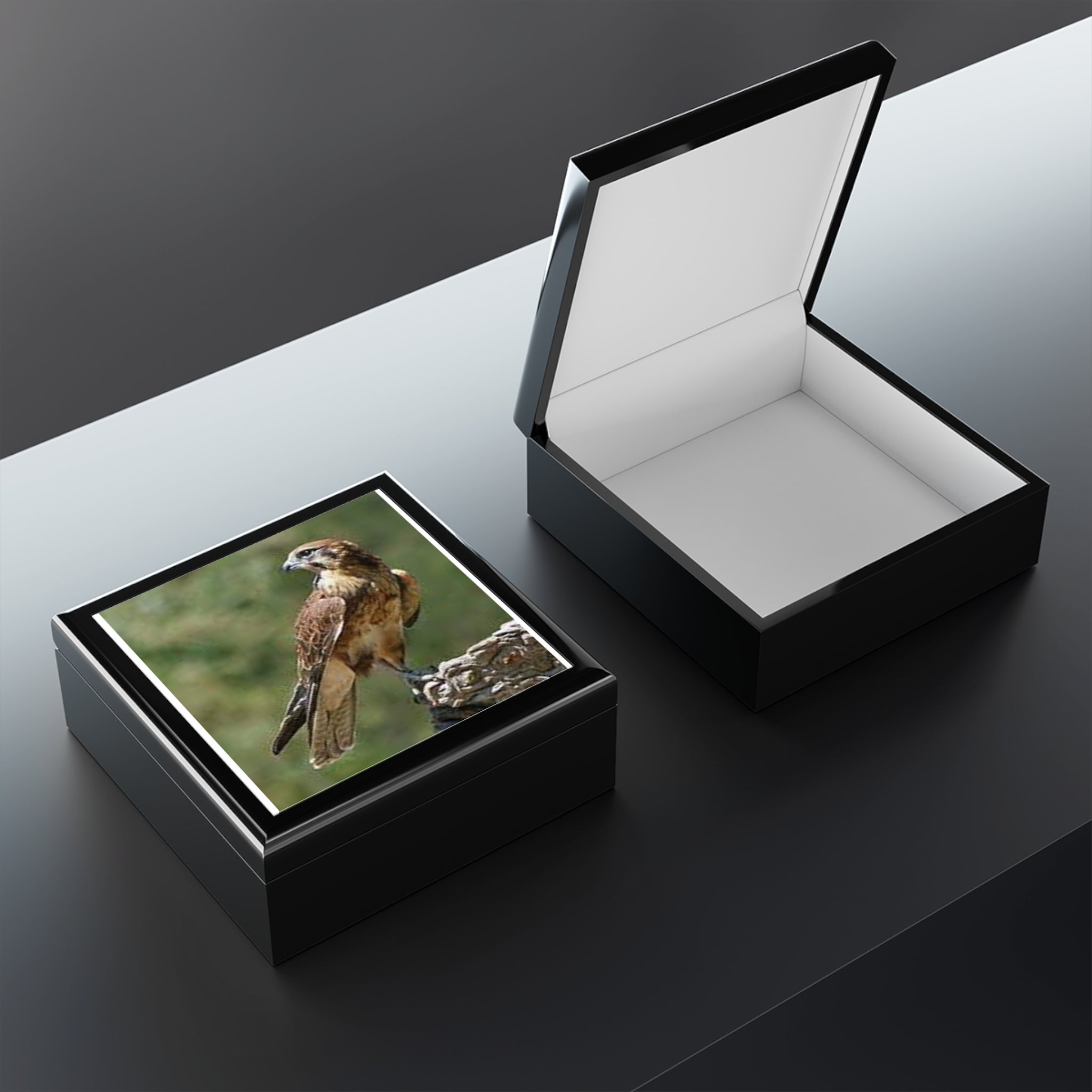Brown Hawk Illustration Jewelry Box | Bird Photo Trinket Case