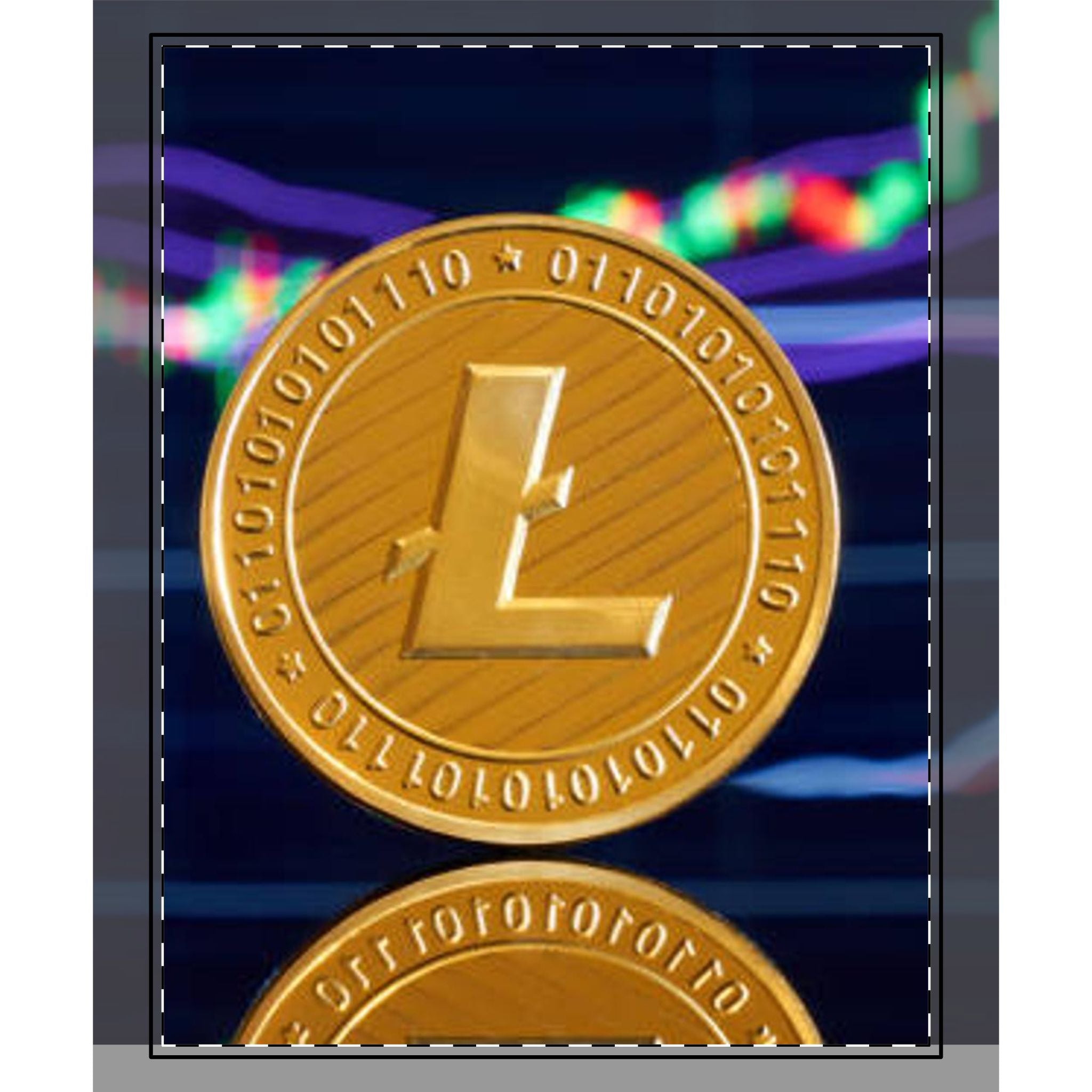 Litecoin Coin Crypto Woven-Style Coverlet | Digital Currency Blanket
