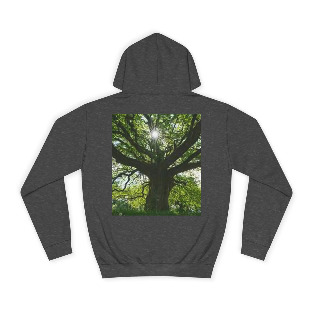 Sunlit Oak Tree Hoodie | Forest Nature Photography, Green Tree Sweatshirt