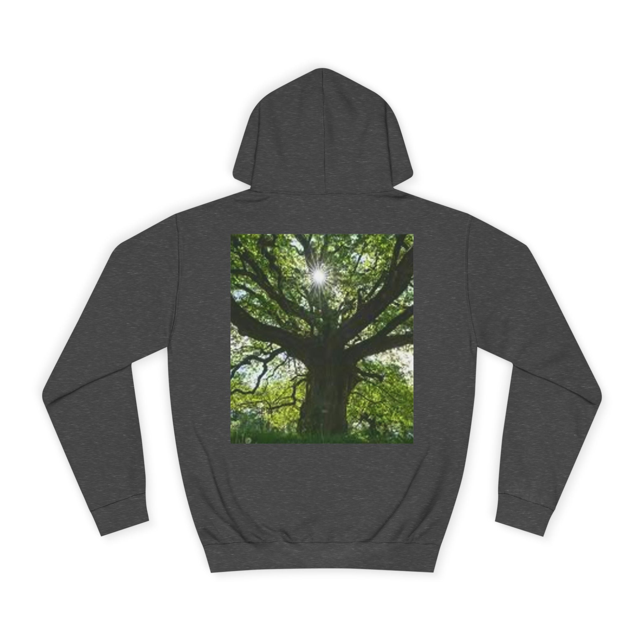 Sunlit Oak Tree Hoodie | Forest Nature Photography, Green Tree Sweatshirt