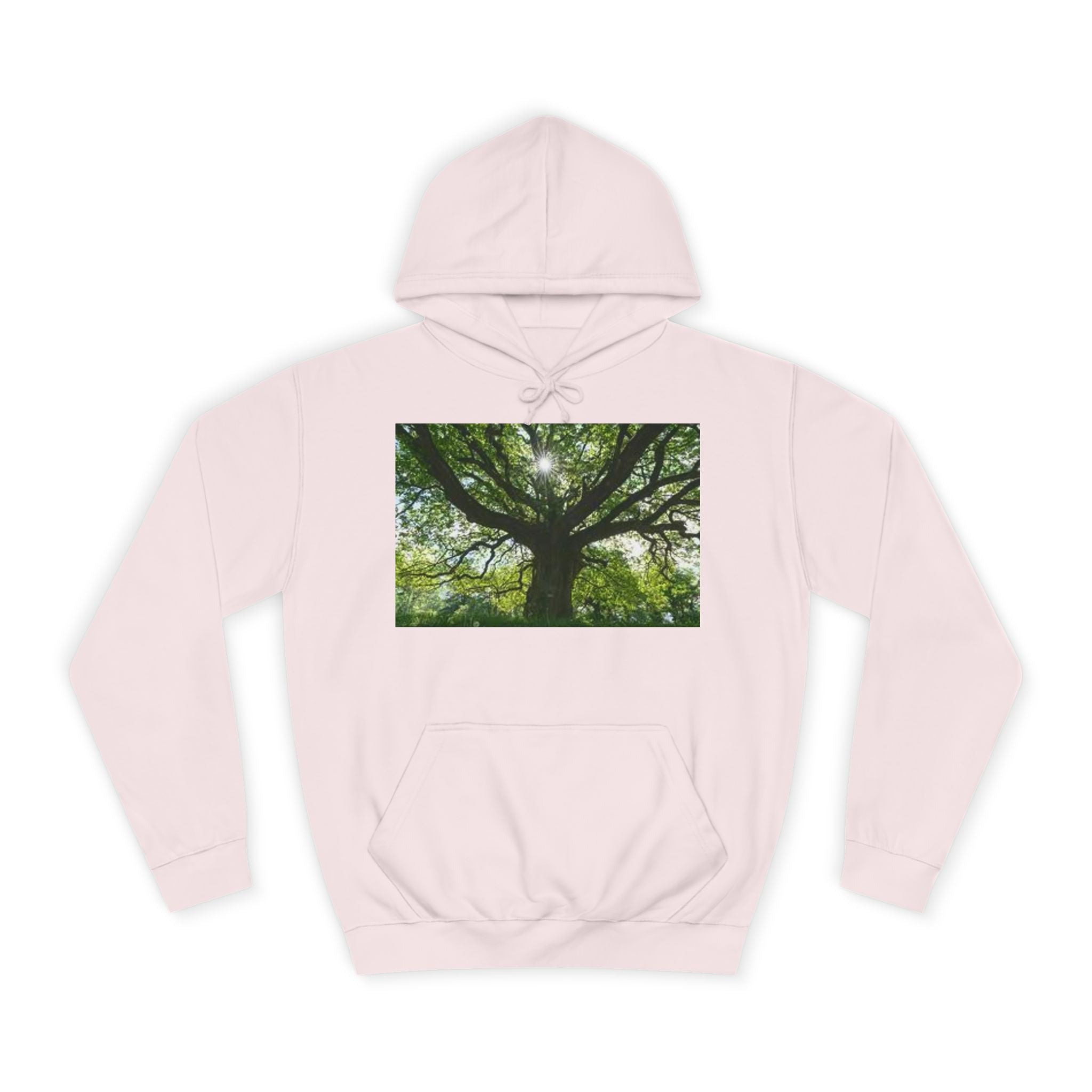 Sunlit Oak Tree Hoodie | Forest Nature Photography, Green Tree Sweatshirt