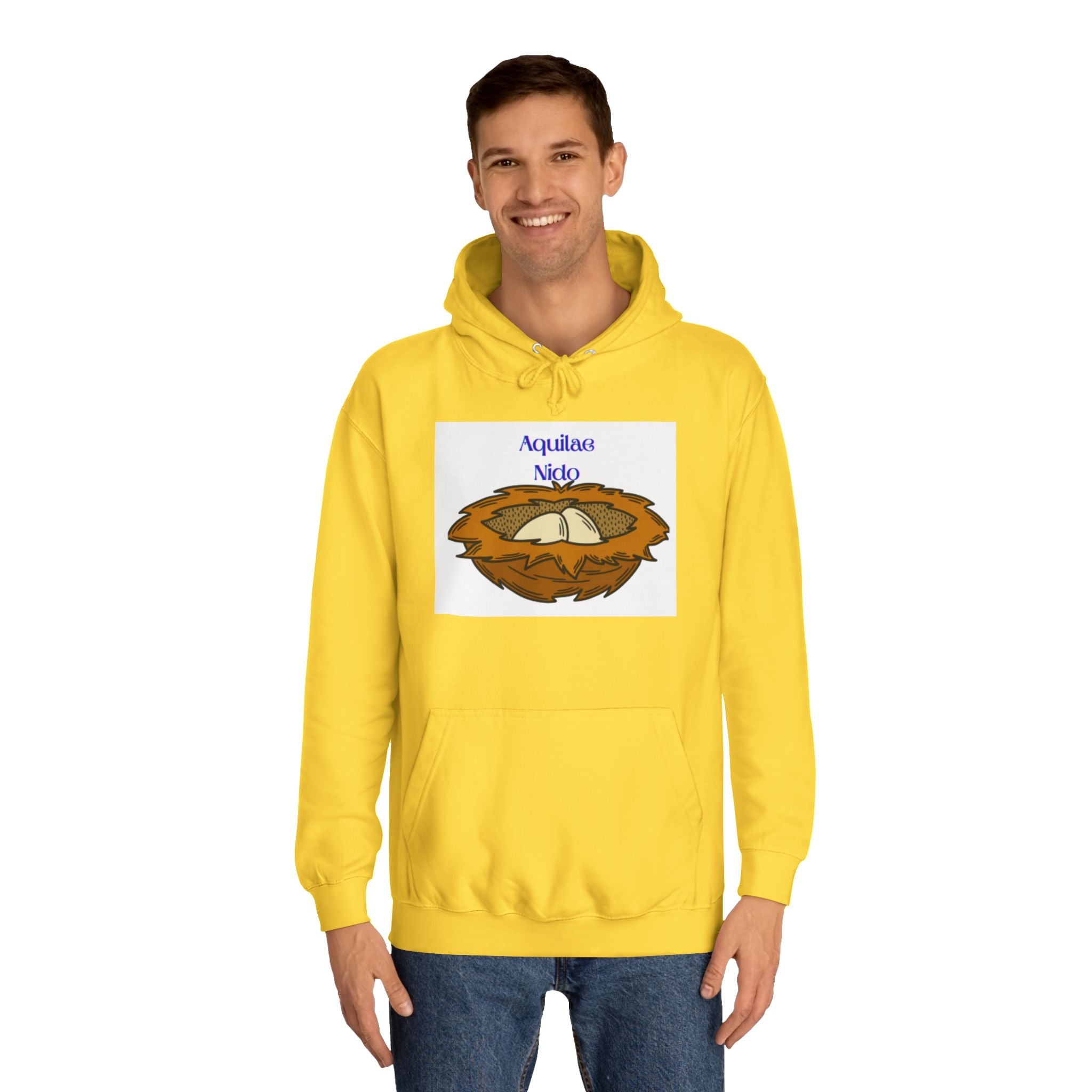 Aquilae Nido Nest Illustration Hoodie | College Crest Style