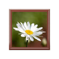 White Daisy Photo Jewelry Box | Floral Keepsake Trinket Box