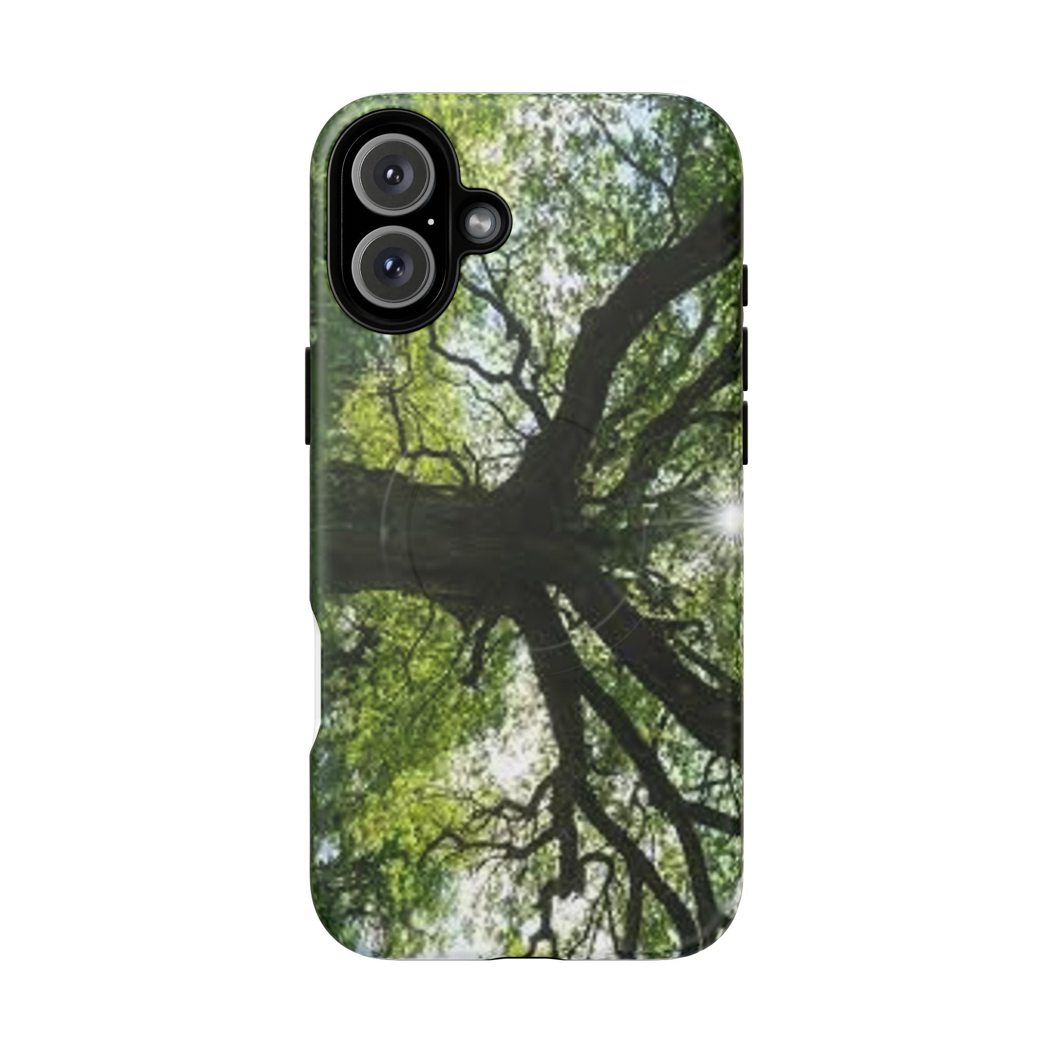 Sunlit Oak Tree Phone Case | Tough Magnetic Case