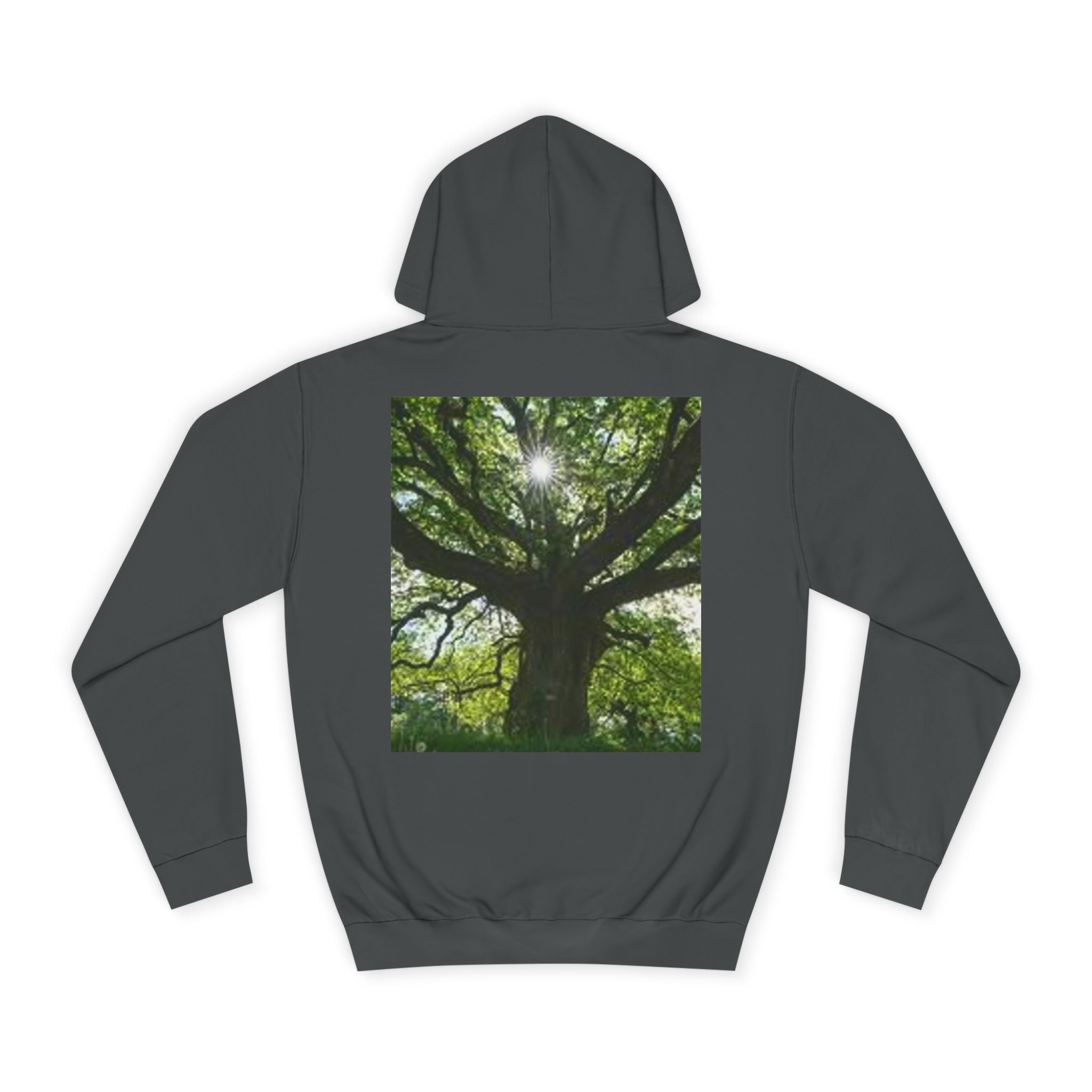 Sunlit Oak Tree Hoodie | Forest Nature Photography, Green Tree Sweatshirt