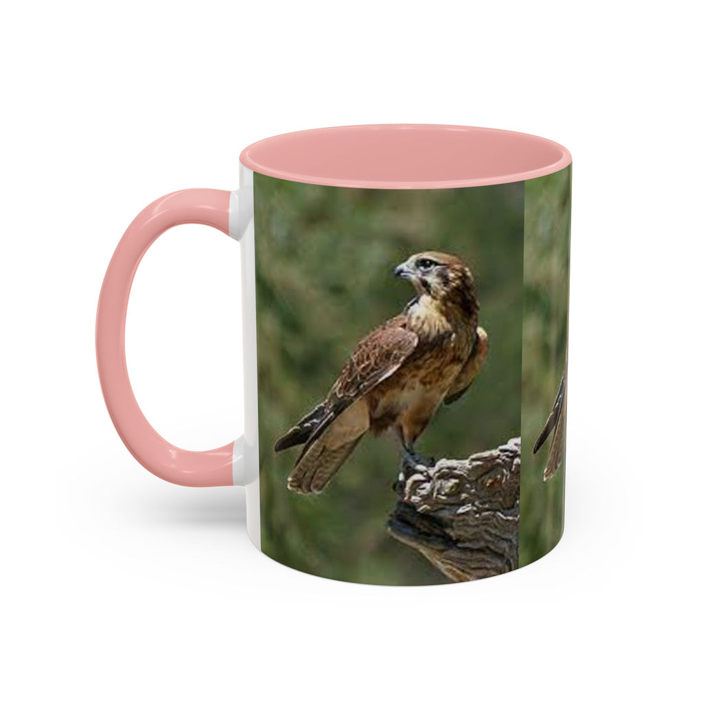 Kestrel Falcon Photo Mug | Accent Coffee Mug 11oz 15oz