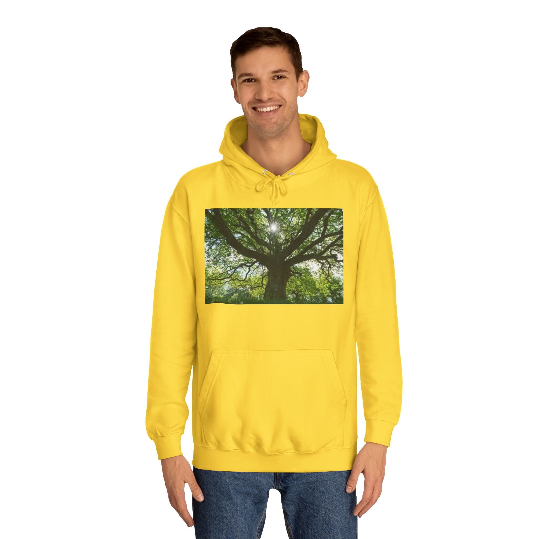Sunlit Oak Tree Hoodie | Forest Nature Photography, Green Tree Sweatshirt