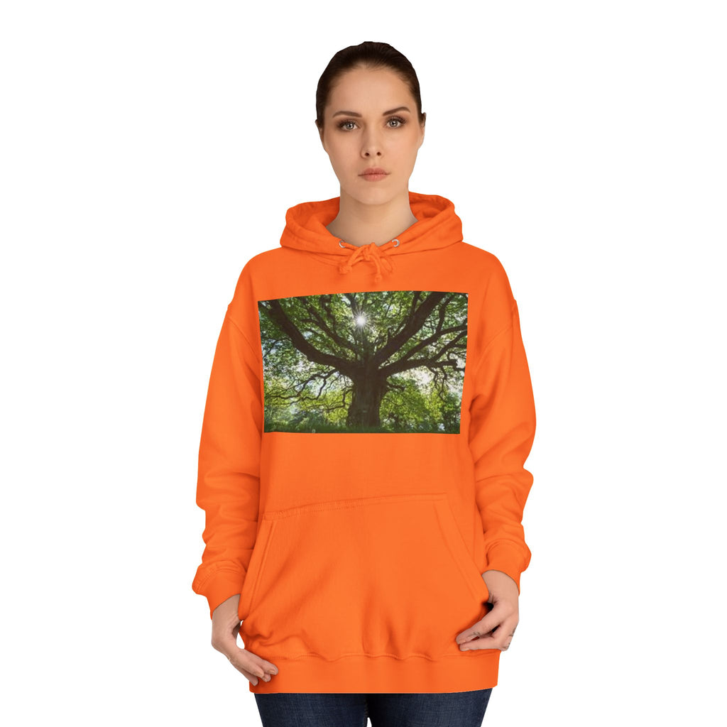 Sunlit Oak Tree Hoodie | Forest Nature Photography, Green Tree Sweatshirt
