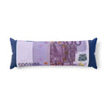 500 Euro Banknote Body Pillow | Money Print, Novelty Cushion