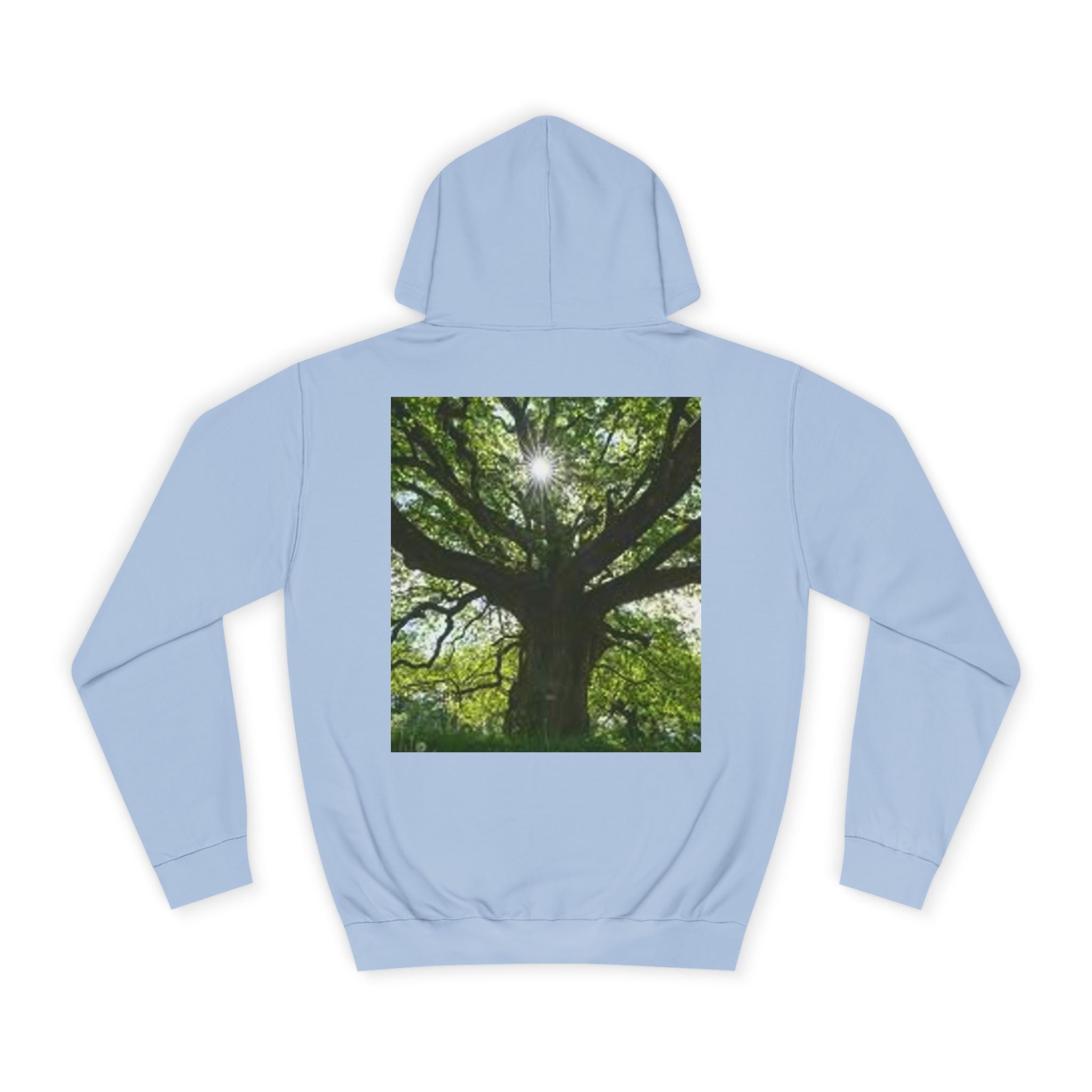 Sunlit Oak Tree Hoodie | Forest Nature Photography, Green Tree Sweatshirt