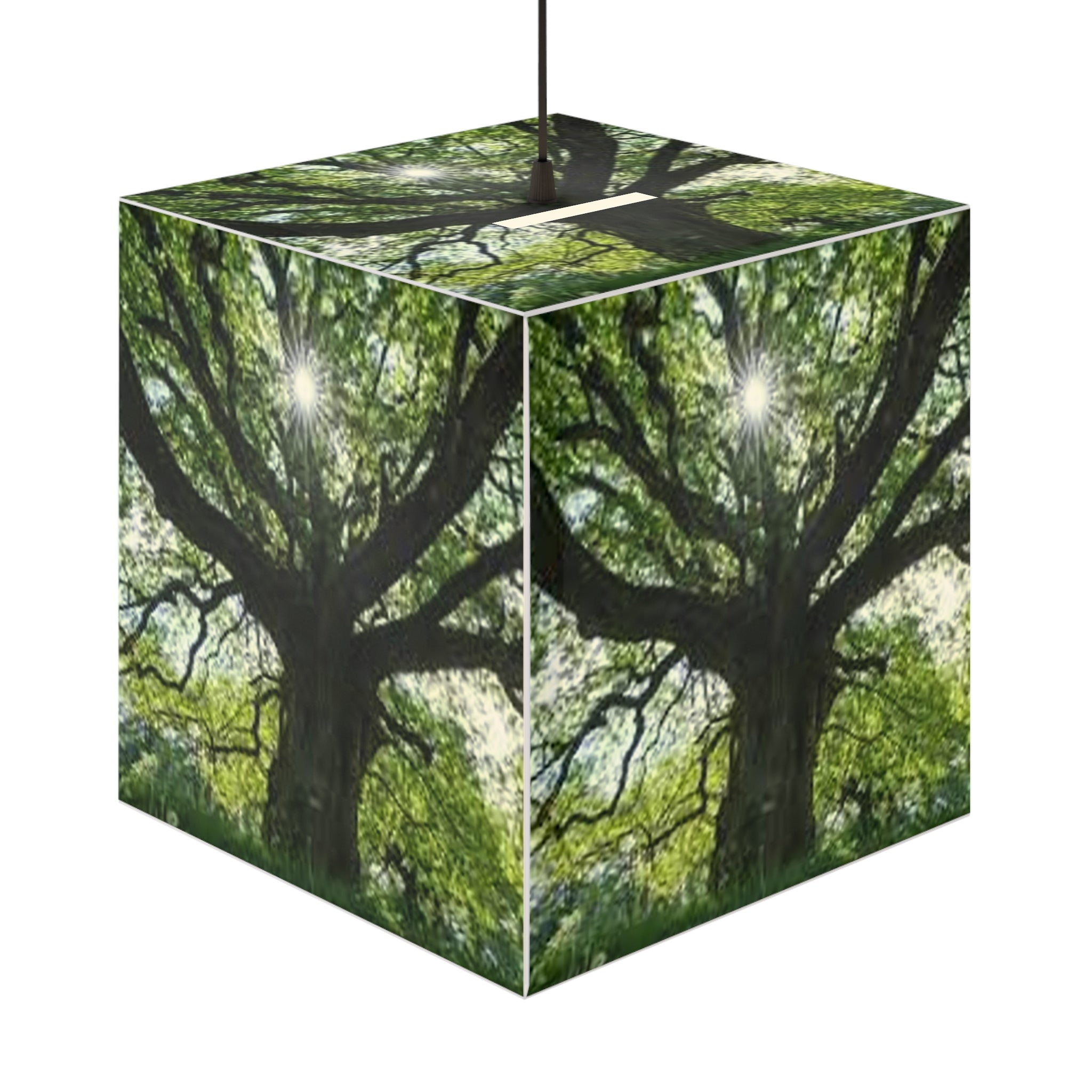 Sunlit Oak Tree Light Cube Lamp | Nature Photography Pendant