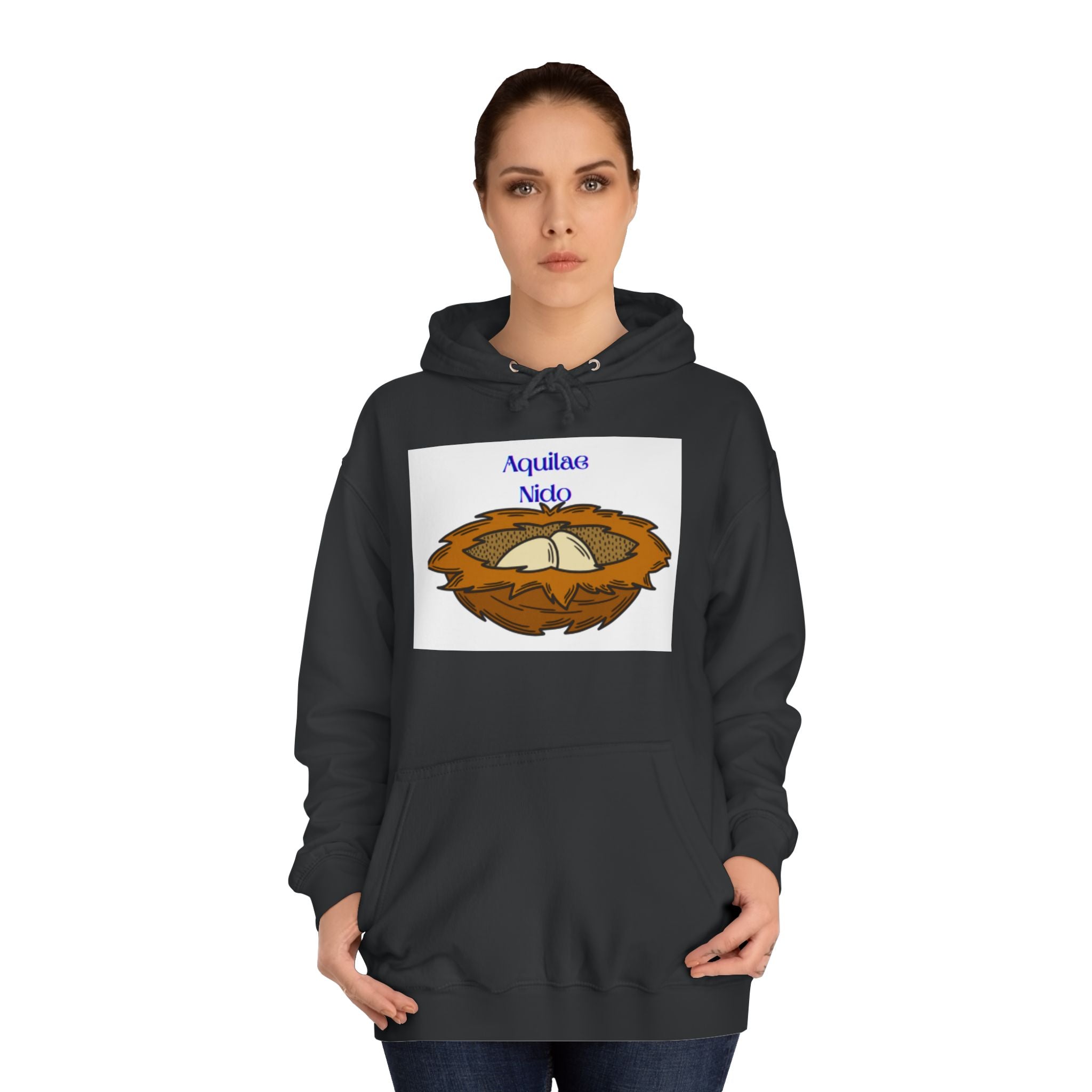 Aquilae Nido Nest Illustration Hoodie | College Crest Style