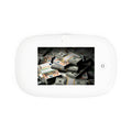 Stack of Cash Photo UV Phone Sanitizer and Wireless Charging Pad