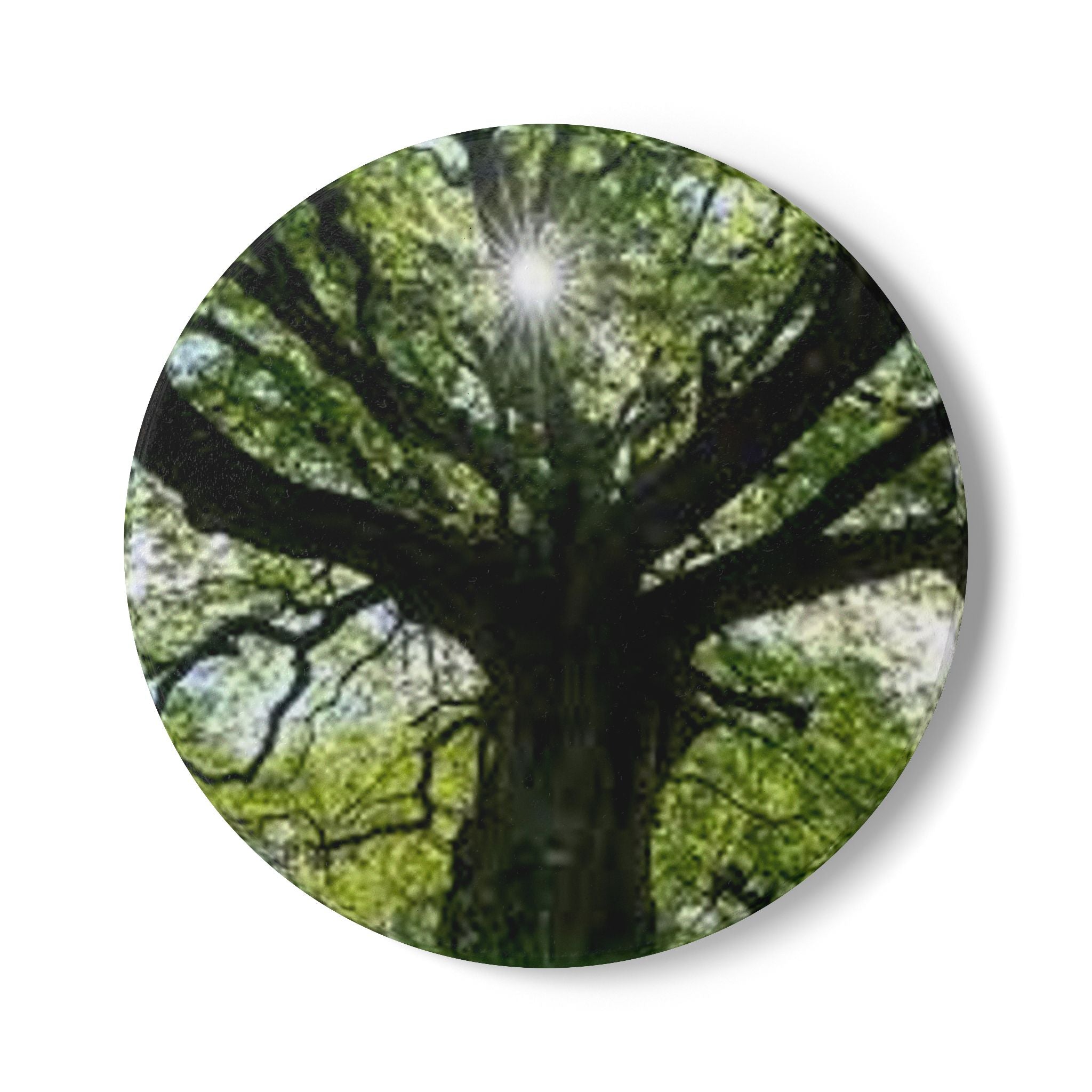 Sunlit Oak Tree Ceramic Coaster | Nature Woodland Drink Mat