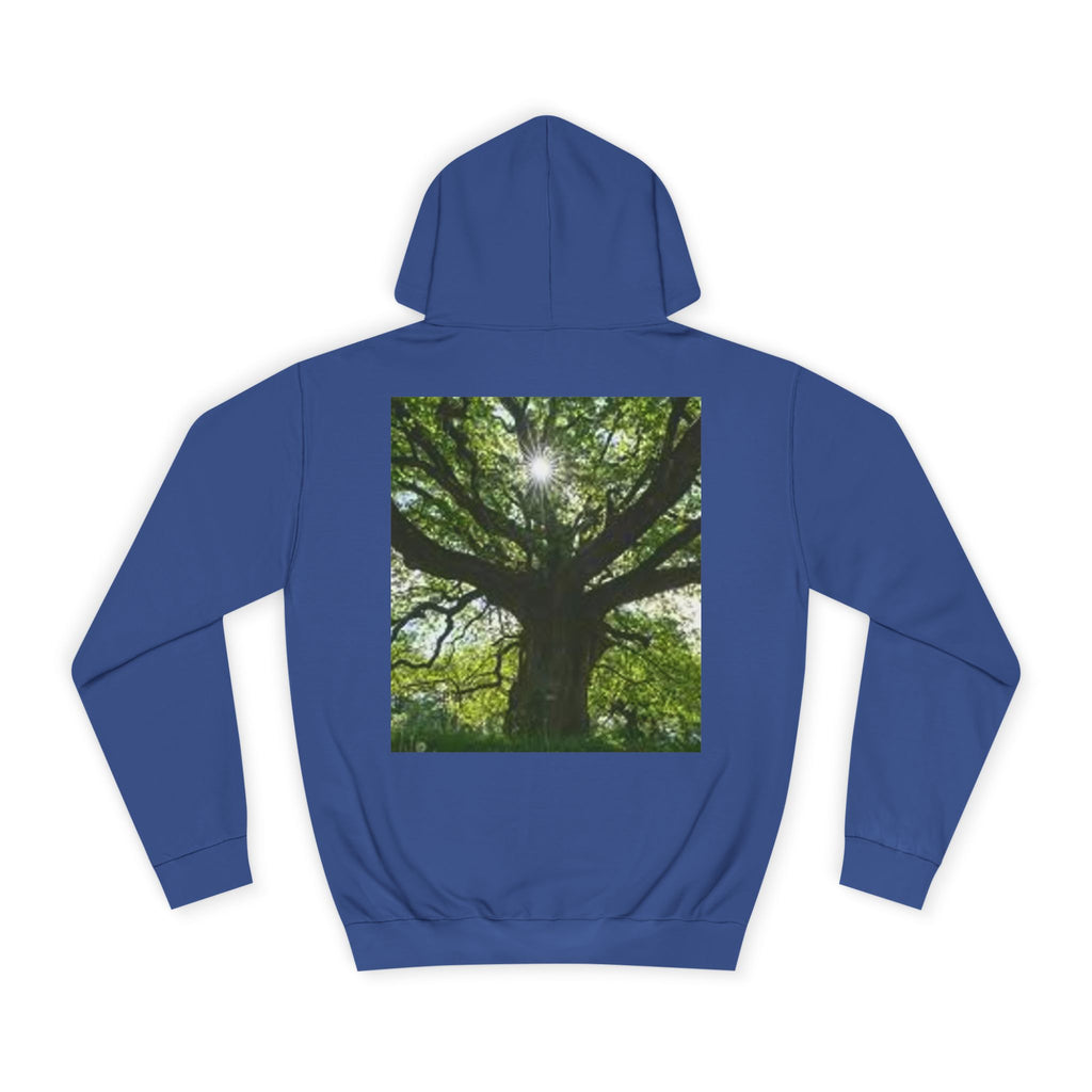 Sunlit Oak Tree Hoodie | Forest Nature Photography, Green Tree Sweatshirt