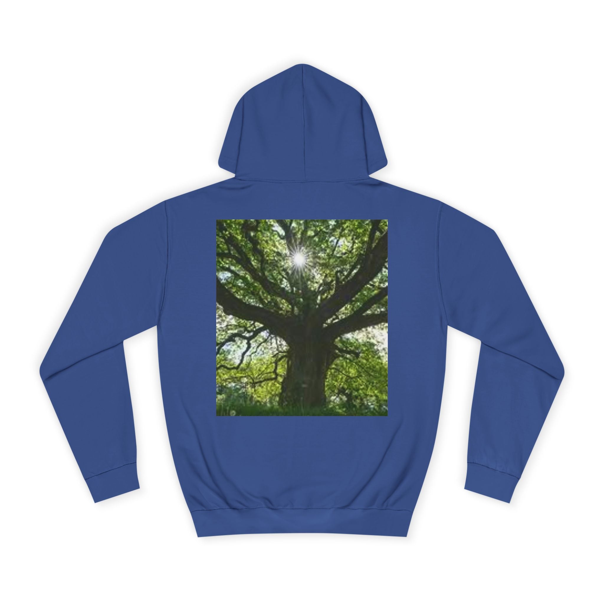 Sunlit Oak Tree Hoodie | Forest Nature Photography, Green Tree Sweatshirt