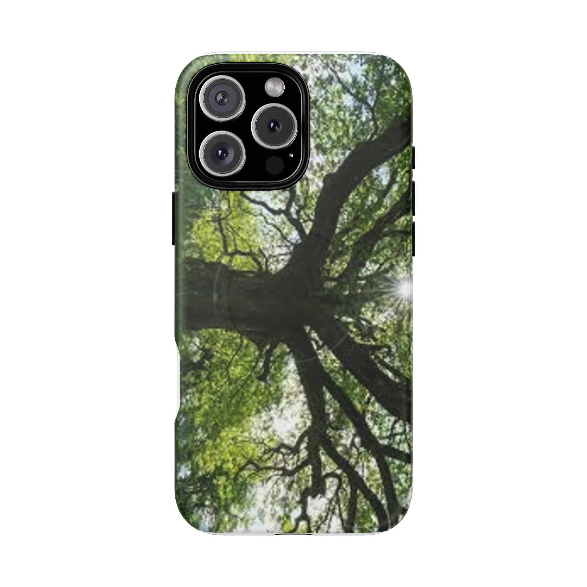 Sunlit Oak Tree Phone Case | Tough Magnetic Case