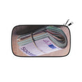 Stack of Euro Bills Passport Wallet | Money Roll Travel Accessory