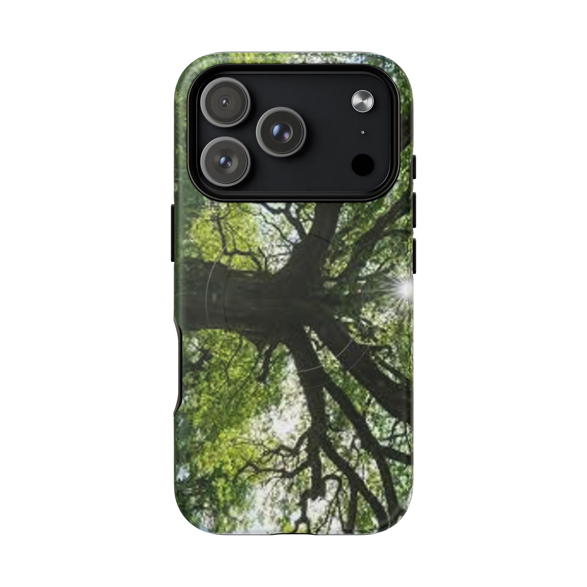 Sunlit Oak Tree Phone Case | Tough Magnetic Case