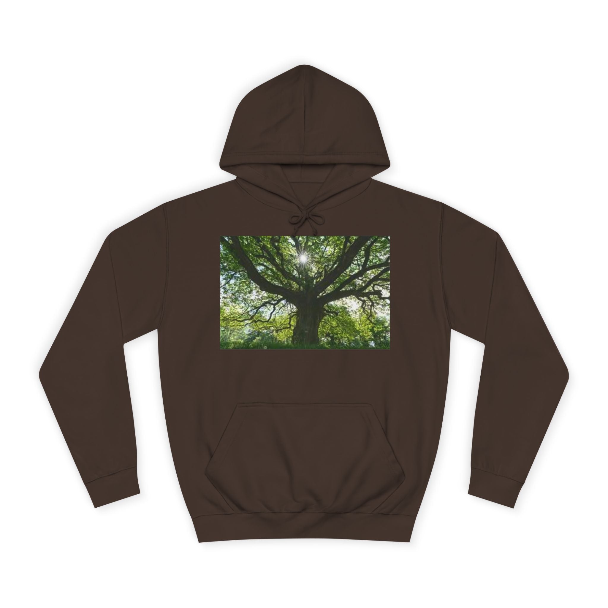 Sunlit Oak Tree Hoodie | Forest Nature Photography, Green Tree Sweatshirt