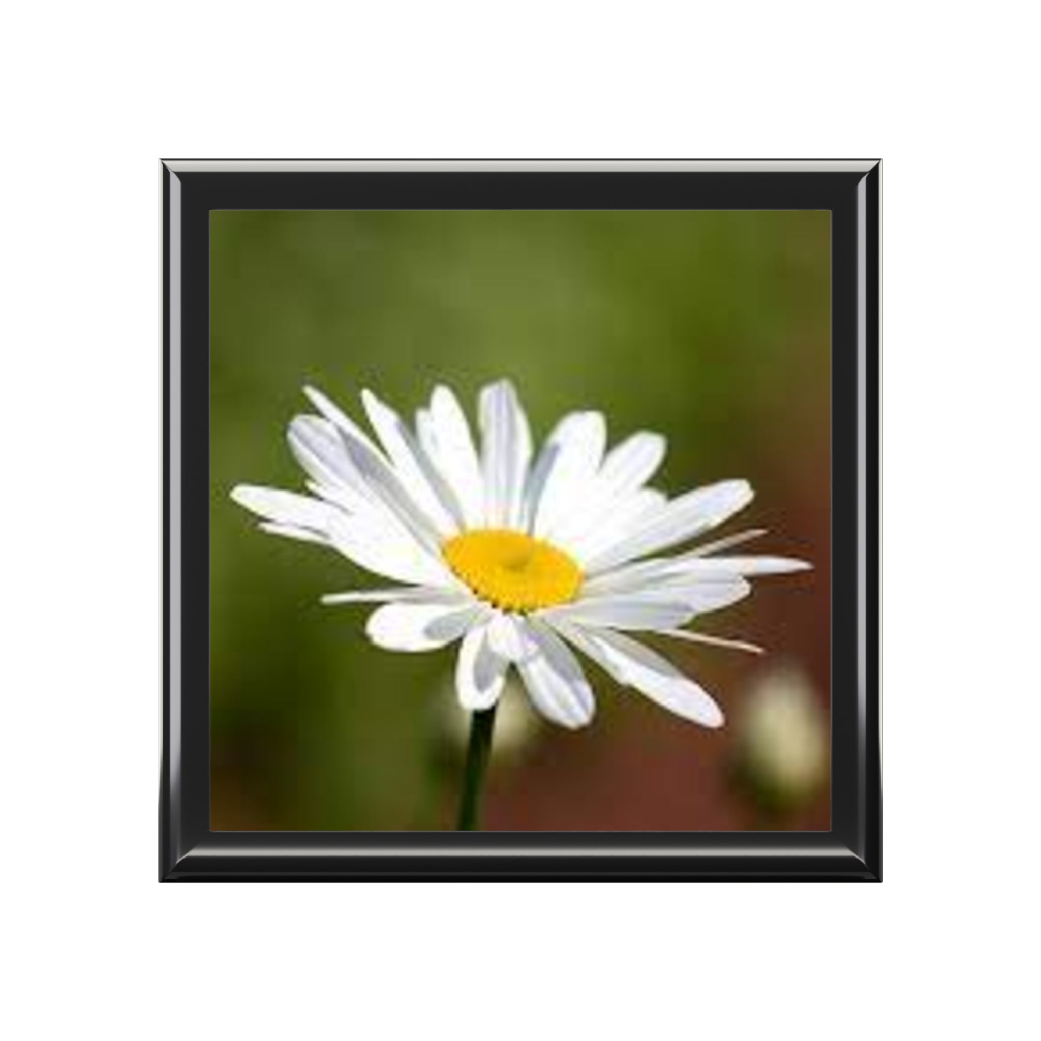 White Daisy Photo Jewelry Box | Floral Keepsake Trinket Box