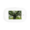 Sunlit Oak Tree UV Phone Sanitizer and Wireless Charging Pad | Nature Photo