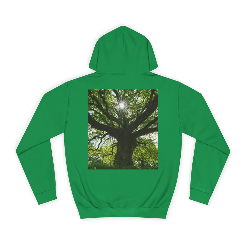 Sunlit Oak Tree Hoodie | Forest Nature Photography, Green Tree Sweatshirt