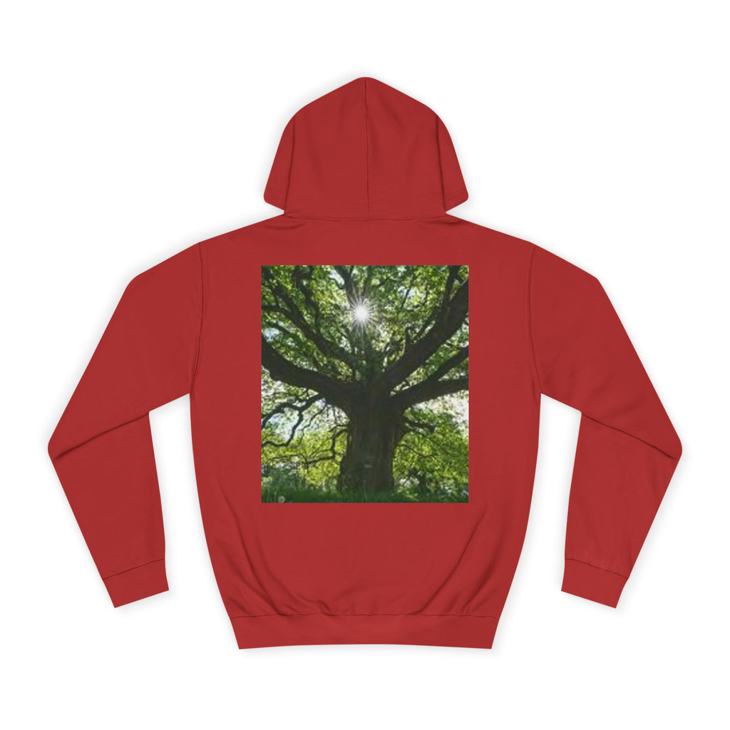 Sunlit Oak Tree Hoodie | Forest Nature Photography, Green Tree Sweatshirt