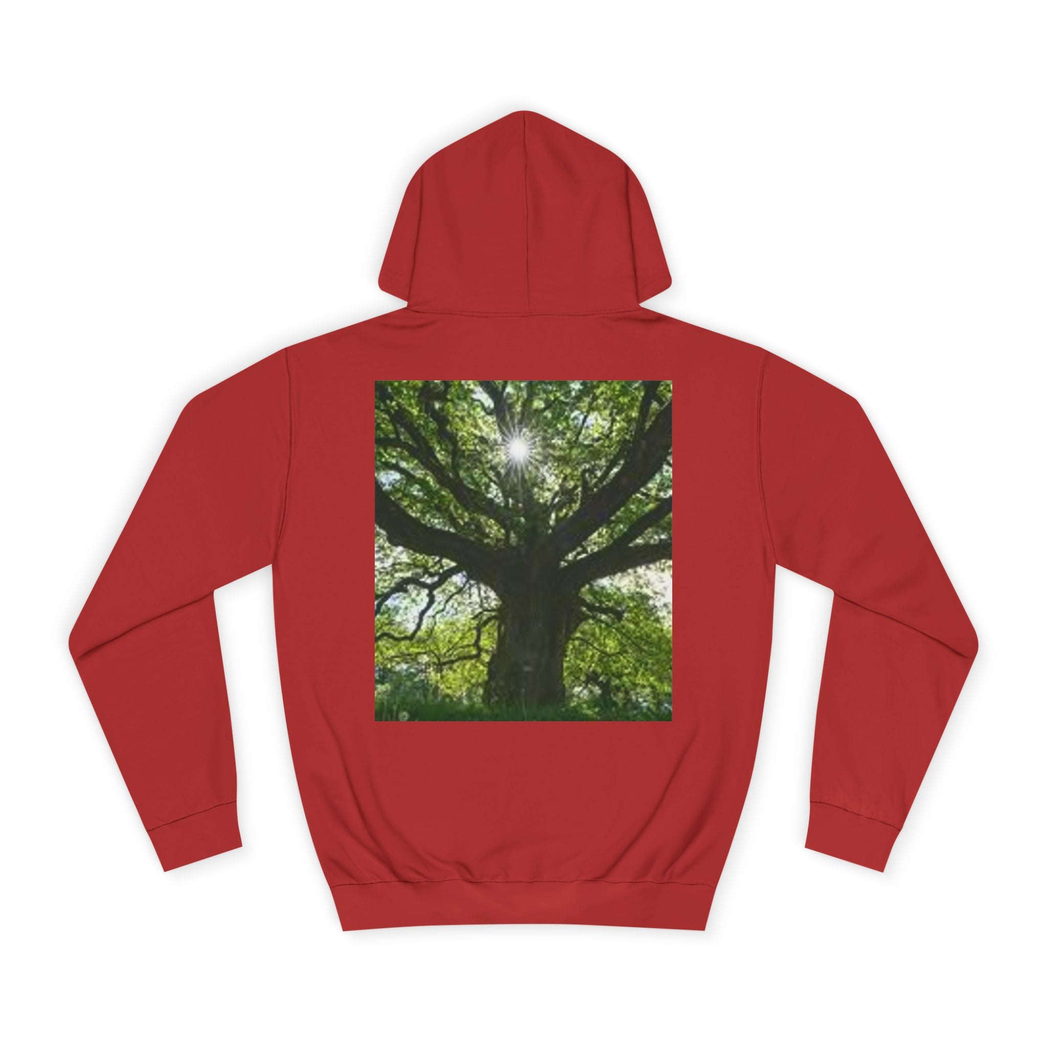 Sunlit Oak Tree Hoodie | Forest Nature Photography, Green Tree Sweatshirt