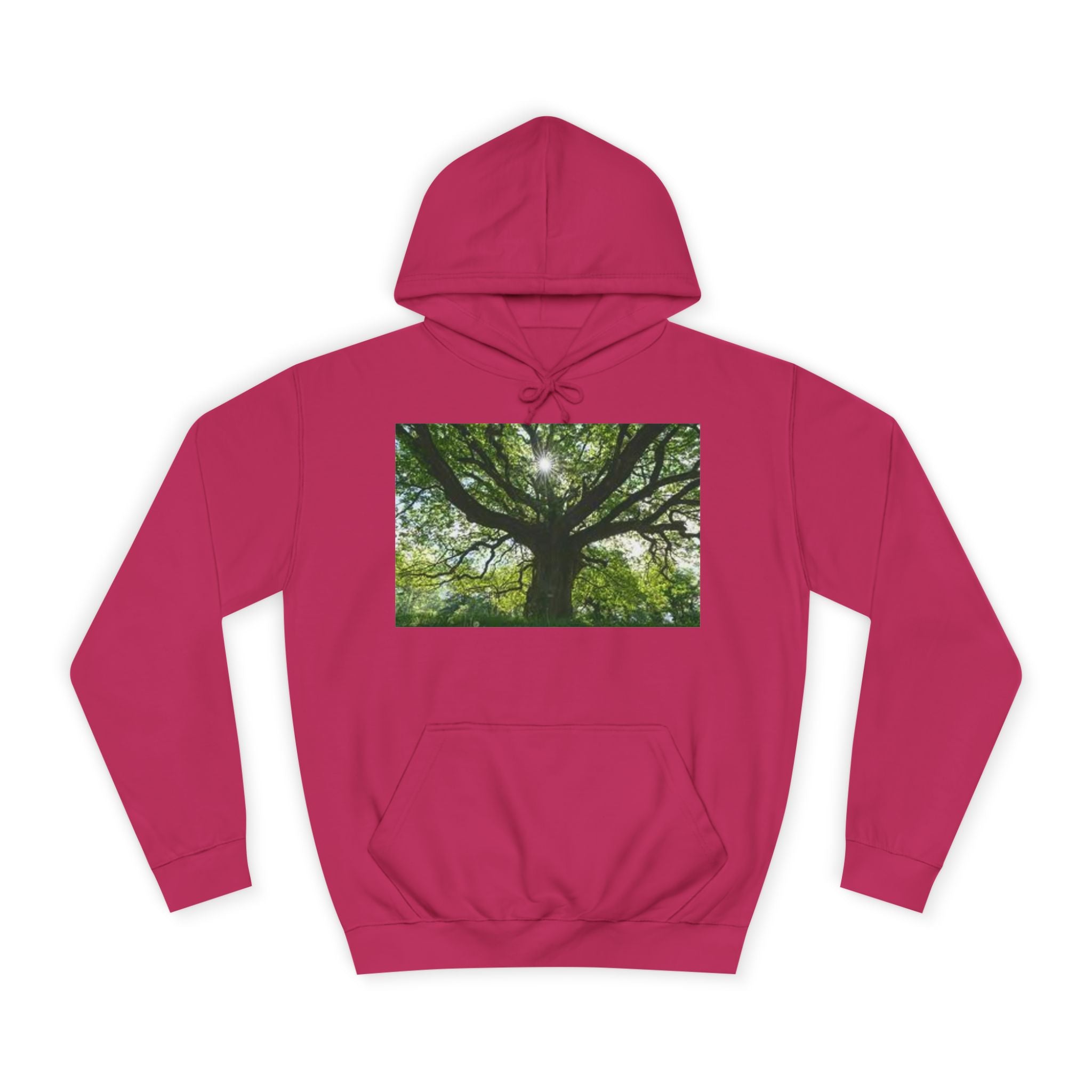 Sunlit Oak Tree Hoodie | Forest Nature Photography, Green Tree Sweatshirt